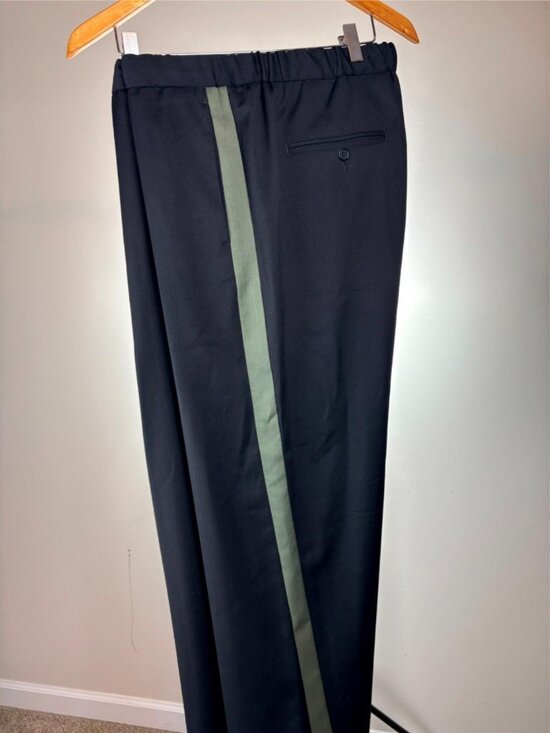 Emporio ARMANI Mens Drawstring Waist Wool ITALIAN Casual Pants 36 w - Picture 1 of 4